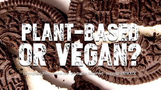 Plant-Based vs. Vegan – What’s the Difference?