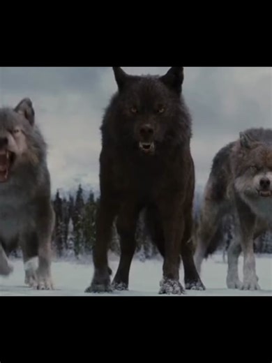 I love him 💖 #twilight #wolves #samuley #paullahote #bradyfuller #bradyfulleredit #edit #fyppoppppppppppppppppppppppp #fypシ #foryoupage #fyp