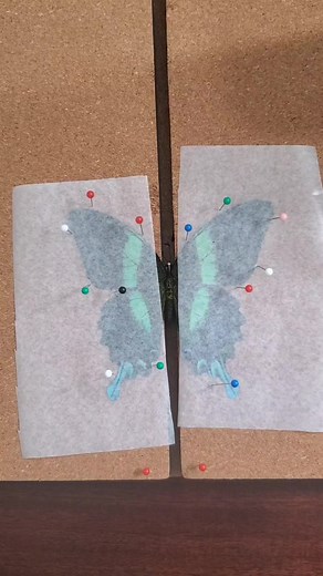 Ethically Sourced Butterfly Art Tutorial | BugTok #BugArt