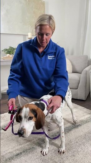 Invisible Fence® Collar Tips