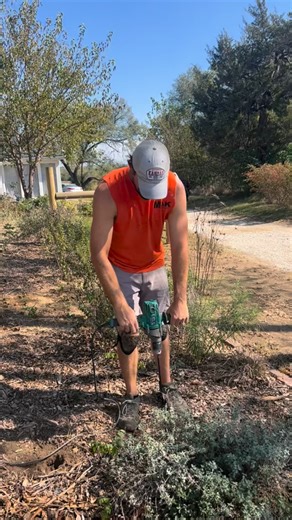 So, what did we end up planting in this impromptu space? Native plants baby, alll daaayyyy looonnnggg. Lots of thank yous are necessary, as this was an unexpected opportunity - aka huge project - I didn’t have planned. From our grower friends who were adamant I plant natives in this challenging space, to the folks at Stonehouse Nursery who shipped us over 400 liners at the last minute, to our friends and family who came over at my request to plant out this huge space - we did it y’all!!! I sucke