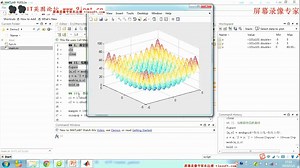 四大优化算法 数学建模必备