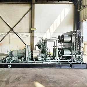 [Hot Item] Premium Oil-Free Piston Compressor for CNG and Dental Use