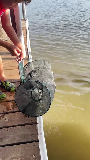 Our minnow trap catches a fish!!! #minnowtrapping #fishtrap