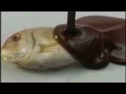 Le Fishe au chocolat (1 Hour)