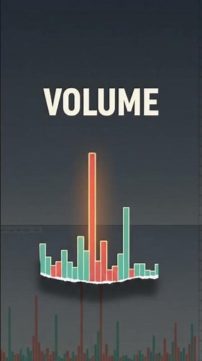 How to Read a Stock Chart (The Absolute Basics)