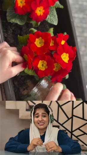 wait for the end 😱 #viral #tamallureaction #organic #amazingfacts #viralreaction