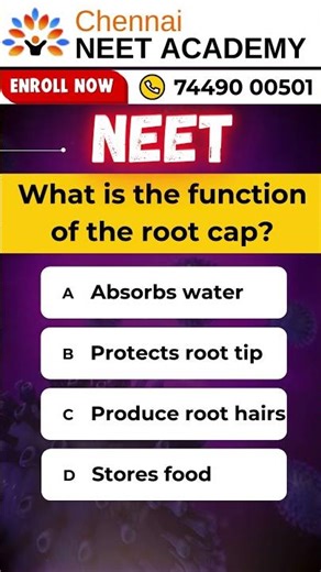 Root Cap Function in Plants | Important NEET Biology MCQ 2026 #studytips #studytips