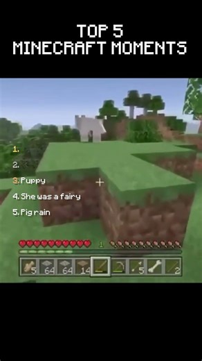TOP 5 Minecraft Moments #Minecraft #Funny