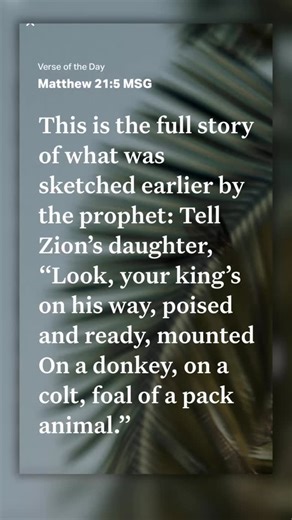 Sunday Worship, 10:30 a.m. Latino Worship, 1:30 p.m. Wednesday Bible Study, 7:00 p.m. 5071 Percival Rd., Elgin, SC 29045 IPCOG.org | 803-788-1942 #IP #IPCOG #IPLatino #IPStrong #HeHasRisen | International Praise | Facebook