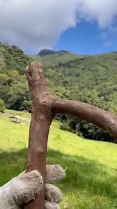 27K views · 70 reactions | The new moon farmer’s tool A simple idea that solves an everyday problem. #USA #FarmHack #SmartTool | Do It YourSelf | Facebook