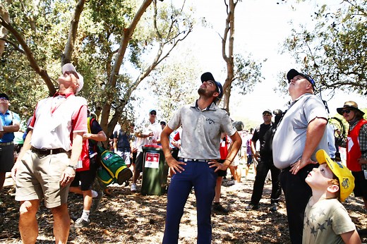 Golf ball in a tree: Here are your options under the Rules - National Club Golfer | National Club Golfer