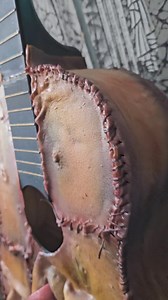 19K views · 285 reactions | Dark Seed Creations on Reels | Facebook