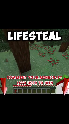 Join My LifeSteal SMP! #minecraft #lifestealsmp