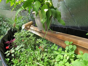 The Above Ground Pond Provides Thermal Mass in the Greenhouse