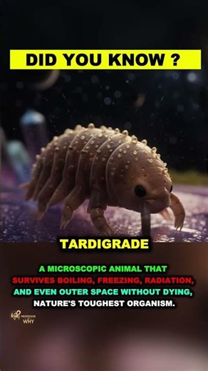 Tardigrade: The Microscopic Creature That Survives Space, Radiation, Boiling & Freezing! 🔬🛡️ #viral