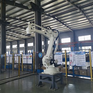 [Hot Item] Intelligent Manufacturing Factory Robot Arm High Efficiency Stacking Robot