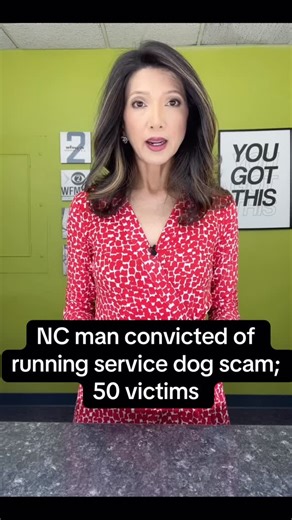 North Carolina nonprofit owner convicted of a service dog scam | Julie Luck TV