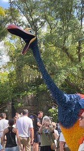 23K views · 492 reactions | Kevin!!! #up #kevin #kevinisagirl #disneysanimalkingdom #waltdisneyworld #disneyover50 | DisneyOver50 | Facebook