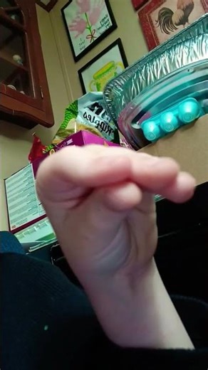 Donald Duck Puppet is here