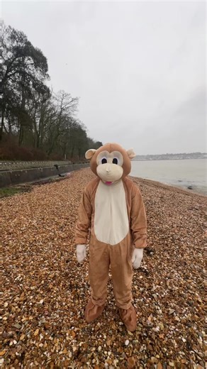 CheekTheMonkey (@cheekthemonkey)’s videos with som original - ＬＥＧＥＮＤＡＲＹ ＬＹＲＣＳ