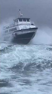 An unforgettable journey to Aran Island yesterday. #shorts #nature #beautiful #wildlife #trending