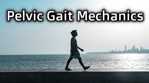 Pelvic Gait Mechanics
