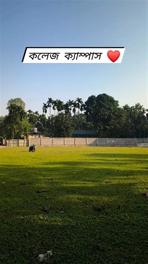 77 reactions · 10 comments | এই কলেজের ক্যাম্পাসে  | Arif Mahmud Firoz | Facebook