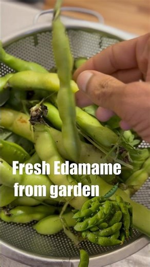 Fresh Edamame recipe Short and easy 🫛. #protine #fiber #edamame