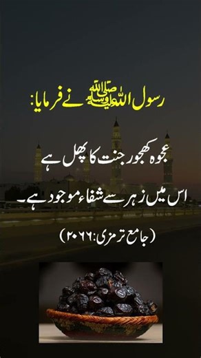 Sunnat e Nabwi ﷺ Ka Muqaddas Phal – Ajwa Dates | Hadith
