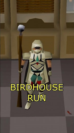 How to do a Bird House Run in #osrs