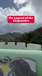 19K views · 835 reactions | Do you think the Chupacabra is real or fiction?  At Puerto Rico’s El Yunque Rainforest Tongo_PR and I tell you about this beast’s origins and the real-life Van Helsing who tried to hunt it down: Chemo Soto. #puertorico #boricua | Urbanist Ariel | Facebook