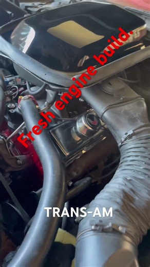 80 Trans-am fresh engine build #automobile #cars #classic #speedrock #car #nostalgiastreetrods
