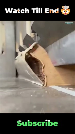 This Machine Slices Thousands of Pages at Once #shorts #facts #cutter