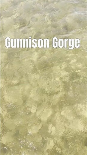 #ColoradoRivers – June Day in the Gunnison Gorge #shorts #flyfishing #troutwater