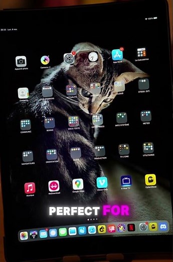 iPad (9th Gen) Review: A Powerful Tablet for Everyone📲