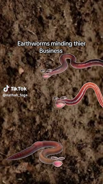 Earthworms and Salt: A Relatable Experience