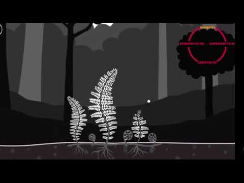 Life cycle of pteridophytes : Full explanation - reproduction and spore formation #neetbiology