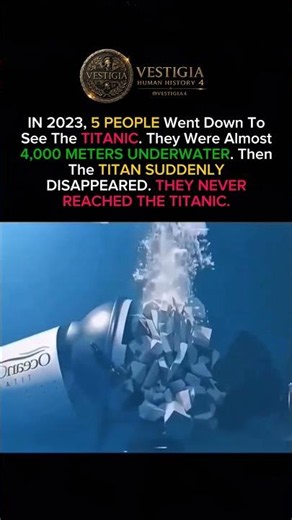 They Went to See the TITANIC... Then TITAN DISAPPEARED