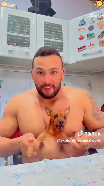 Dogs as Excellent Students: Funny Moments and Lessons