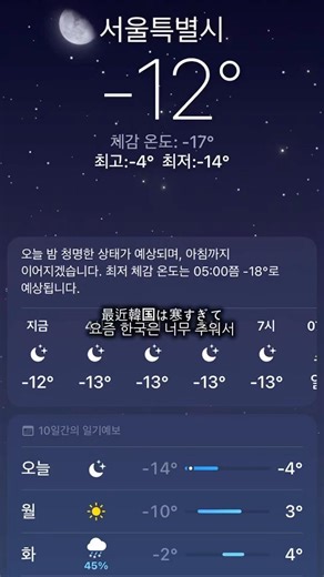 Hair care items that can withstand the extreme cold of Korea 🫧💇‍♀️ 손상모관리 헤어에센스 헤어팩추천