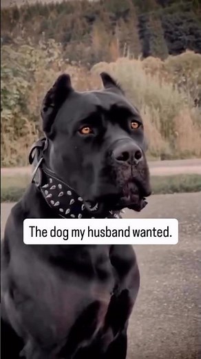 The Dog My Husband Wanted vs What He Actually Got 😂🐶 #funnydog #funnyvideo #cute #viral #trending