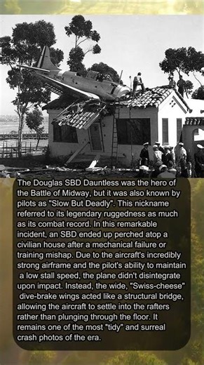 😱 THE "SBD" THAT REFUSED TO BREAK: A ROOFTOP MIRACLE