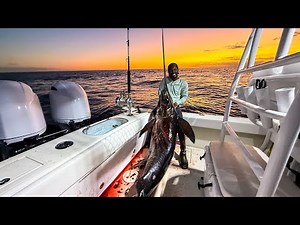 FIRST FISH OF THE YEAR..A 230LB SWORDFISH! (Catch and Cook)