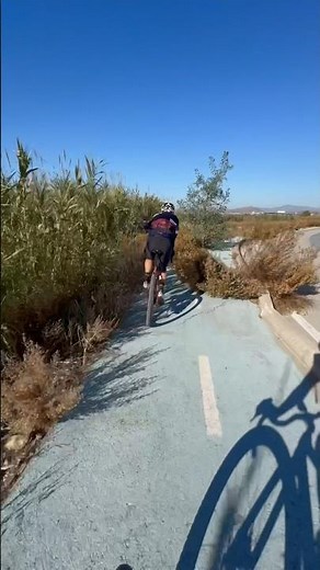 Hay que ser buenos ciclistas y circular por el carril bici…