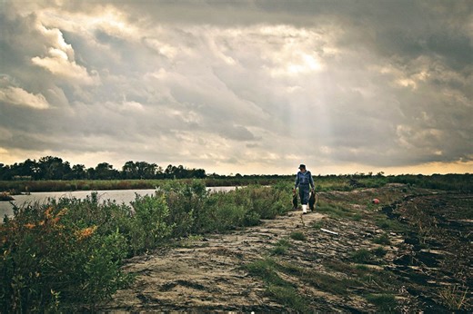 11-questions-for-3-filmmakers-about-million-swamp-rats-rodents-of ...