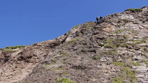 Extreme Location Catch and Cook: Cliffside Edition