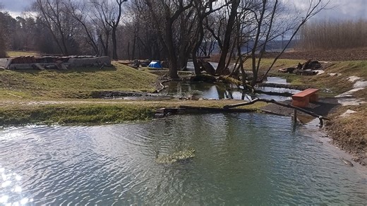 Plánuji osadit toto území.Kdyby jste se chtěli zapojit a měli co zasadit ze svý zahrady,tak se ozvěte. Děkuji | Lubomír Šmída