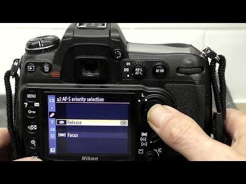 D300 Settings for wildlife and action photography.