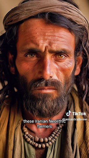 Exploring Iranian DNA History: Genomic Insights and Iranian Dynasties